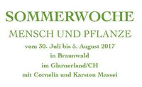 Sommerwochen Mensch und Pflanze
